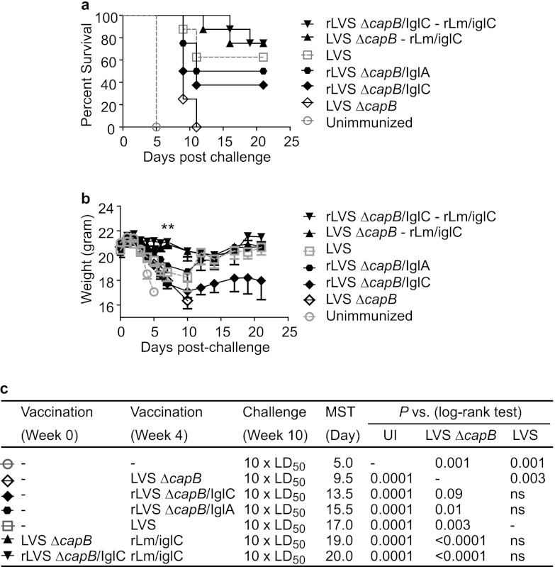 Fig 6