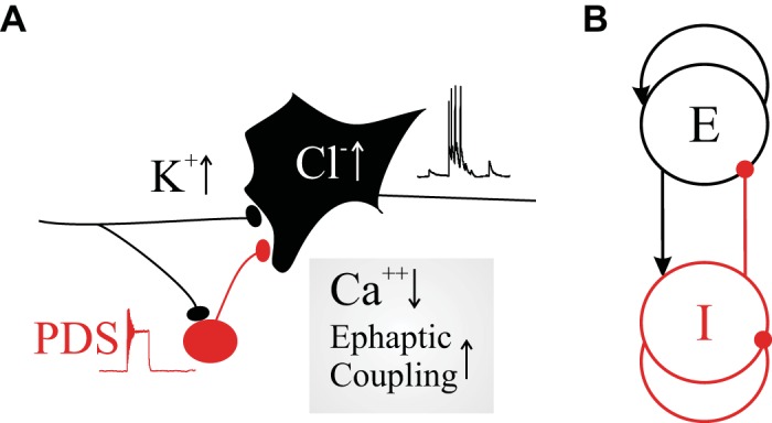 Fig. 2.