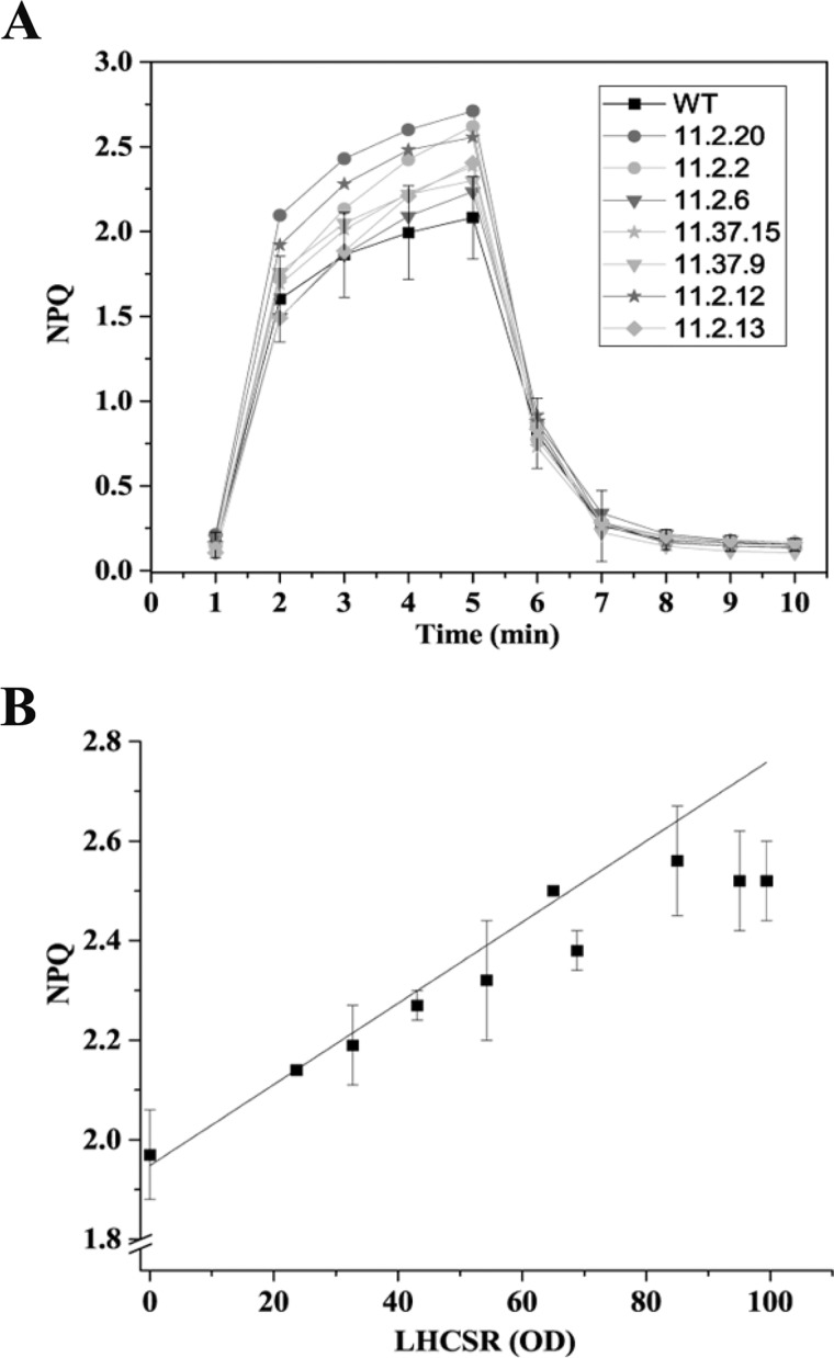 FIGURE 11.