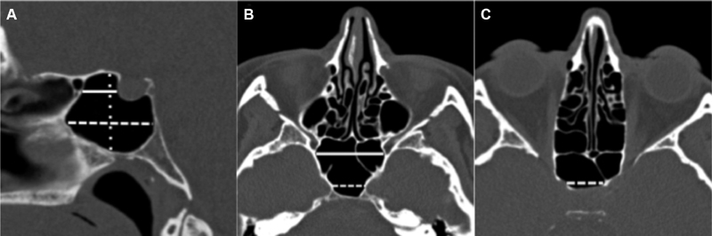 Fig. 6