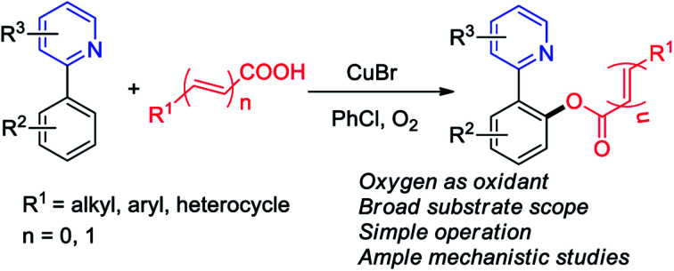 graphic file with name c8ra01974f-ga.jpg