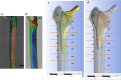 Fig. 6