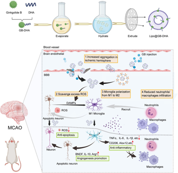 Image, graphical abstract