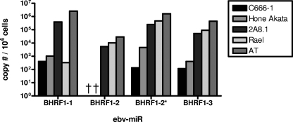 FIG. 7.