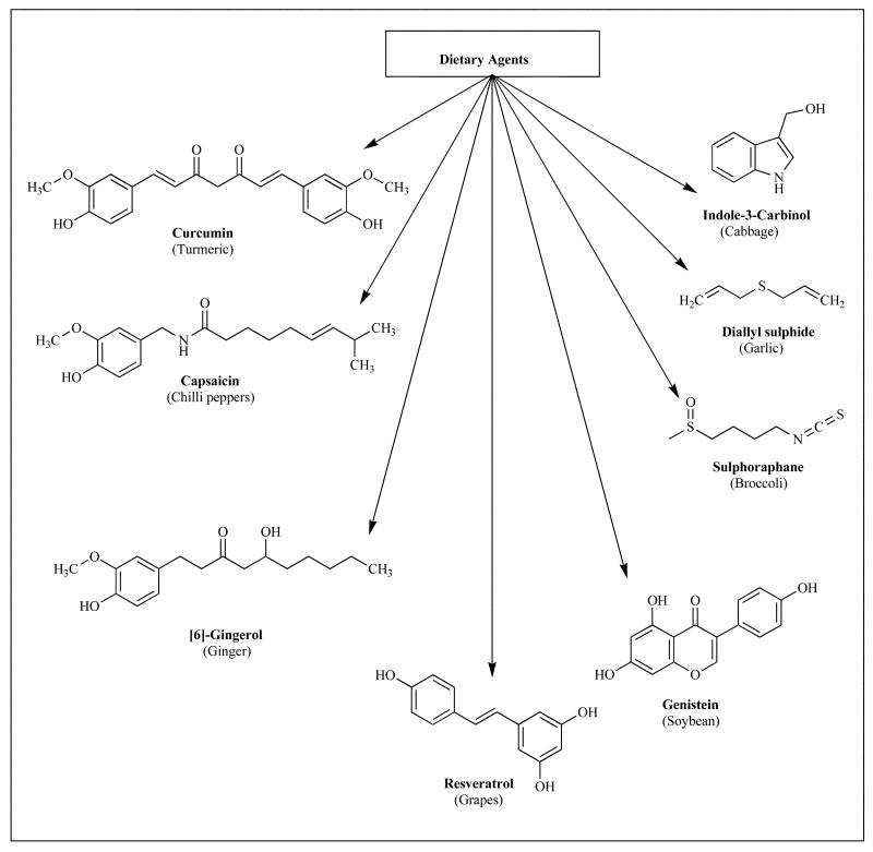 Fig. (1)