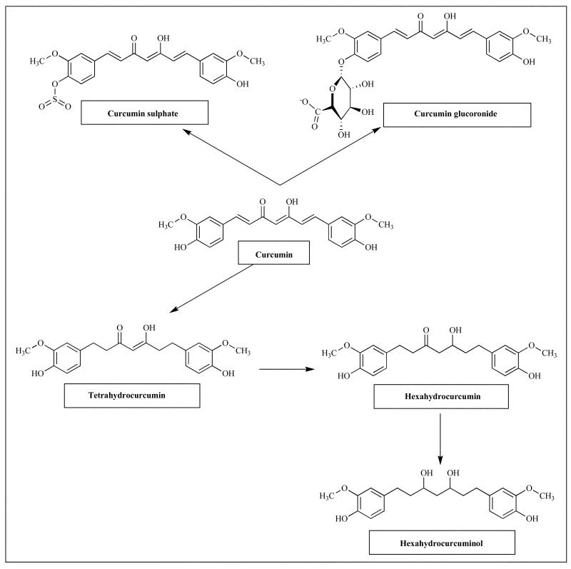 Fig. (4)