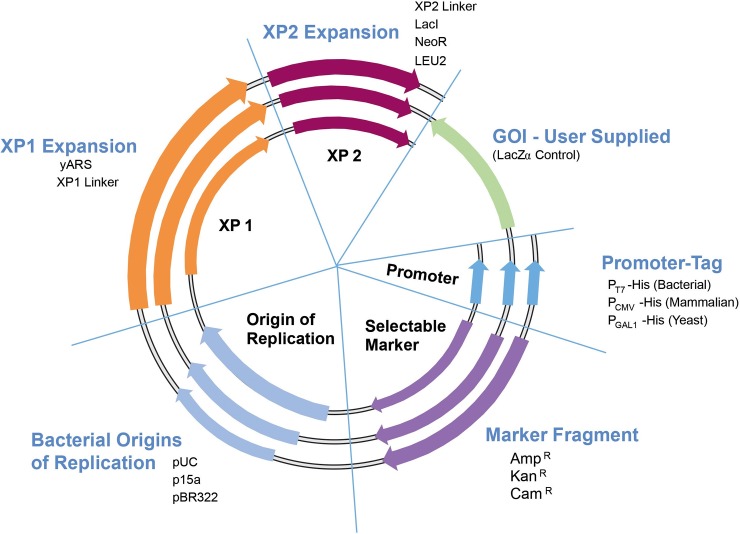 Fig 3