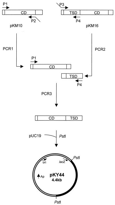 FIG. 1.