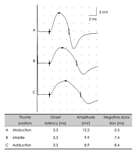 Fig. 10