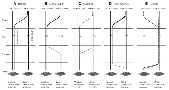 Fig. 12