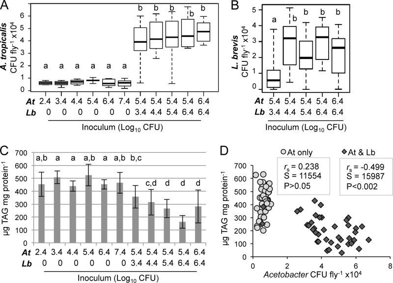 FIG 6