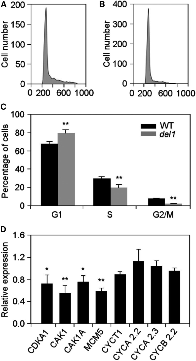 Figure 3.