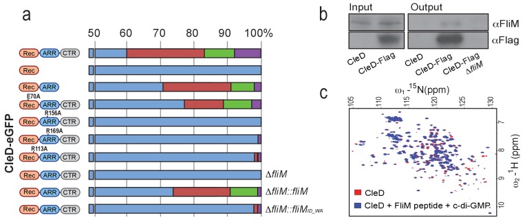 Figure 4—figure supplement 1.