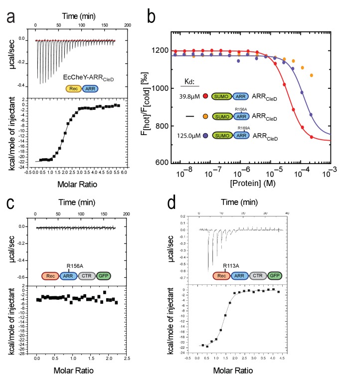 Figure 3—figure supplement 1.