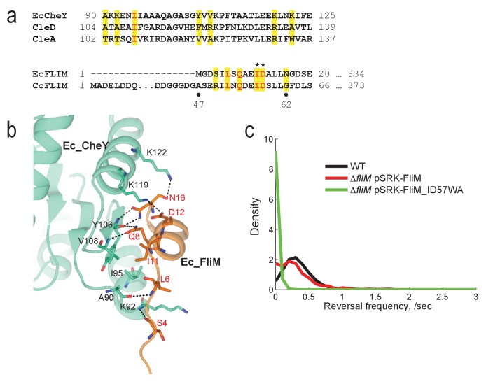 Figure 4—figure supplement 2.