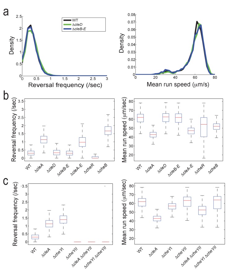 Figure 5—figure supplement 1.