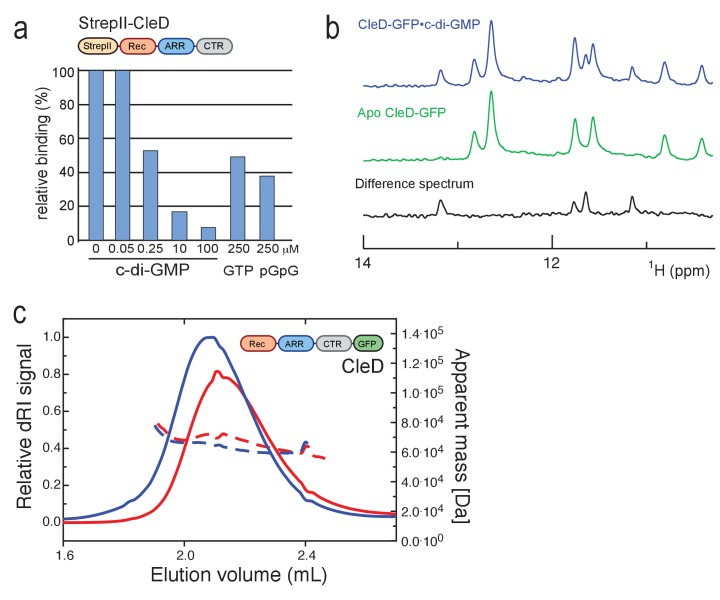 Figure 2—figure supplement 1.