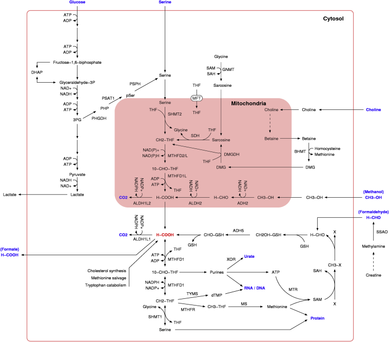 Figure 2