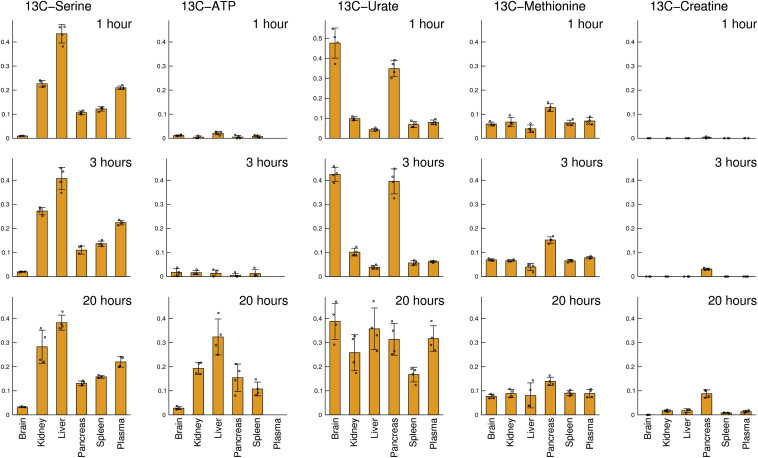 Figure 4