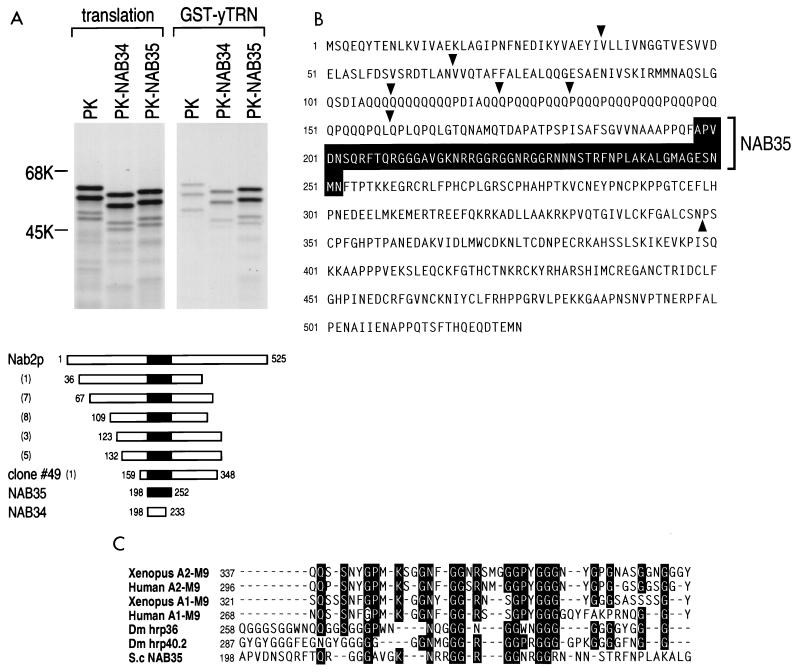 FIG. 1