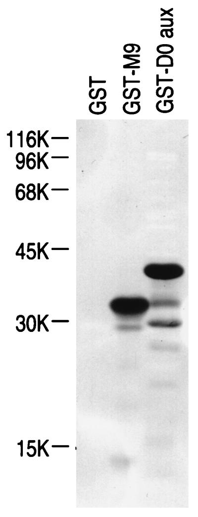 FIG. 5