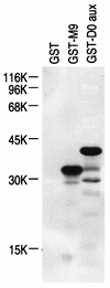 FIG. 5