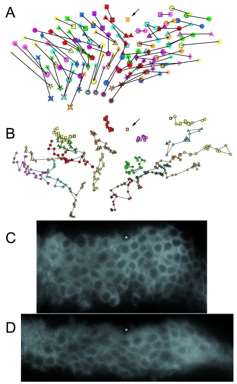 Fig. 9