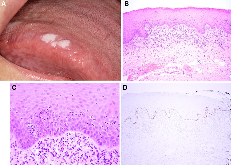 Fig. 25