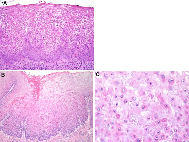 Fig. 20