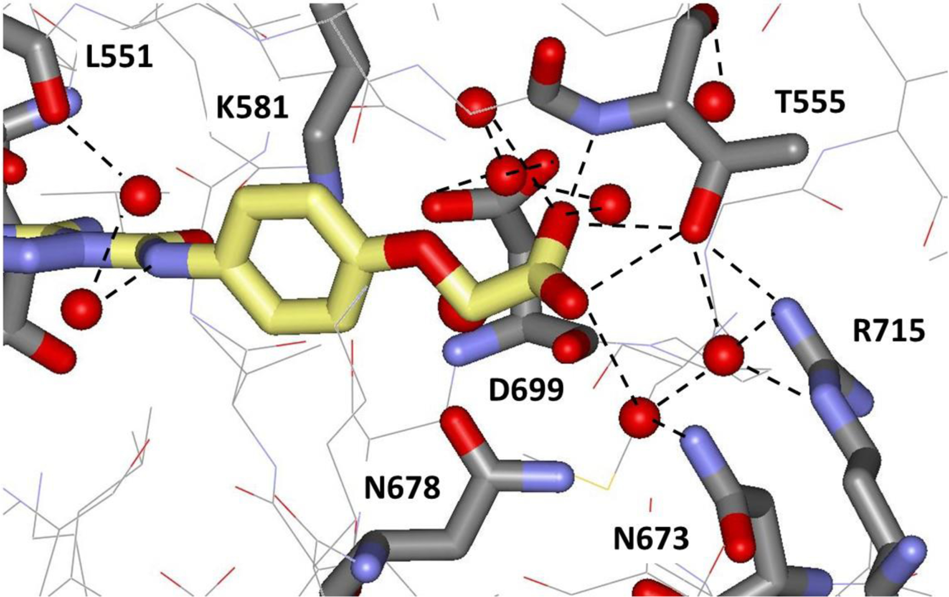 Selective Janus Kinase 2 (JAK2) Pseudokinase Ligands with a ...