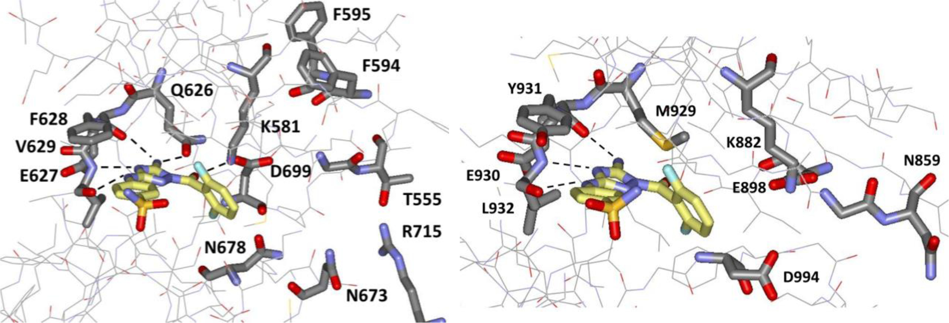 Selective Janus Kinase 2 (JAK2) Pseudokinase Ligands with a ...