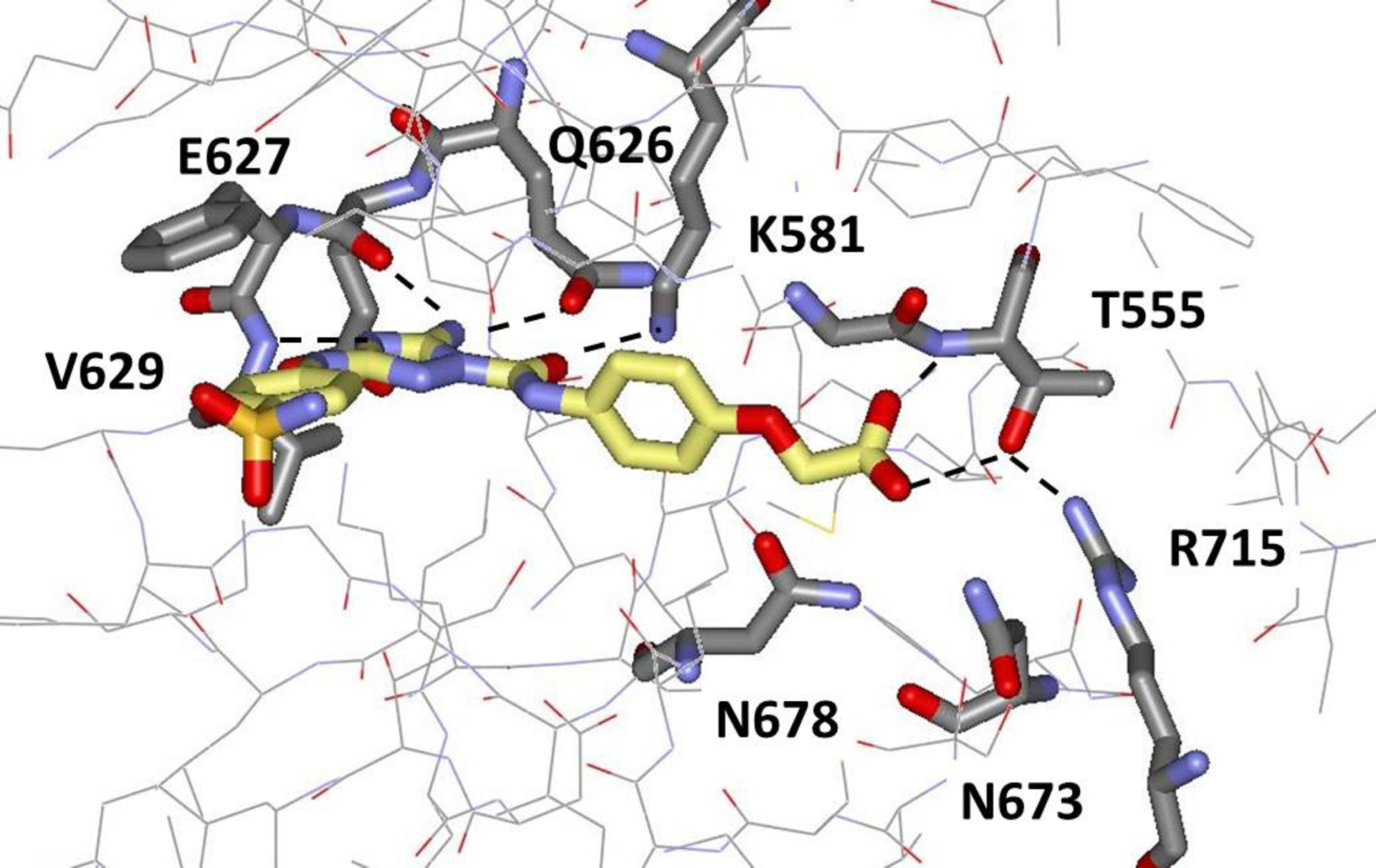 Selective Janus Kinase 2 (JAK2) Pseudokinase Ligands with a ...