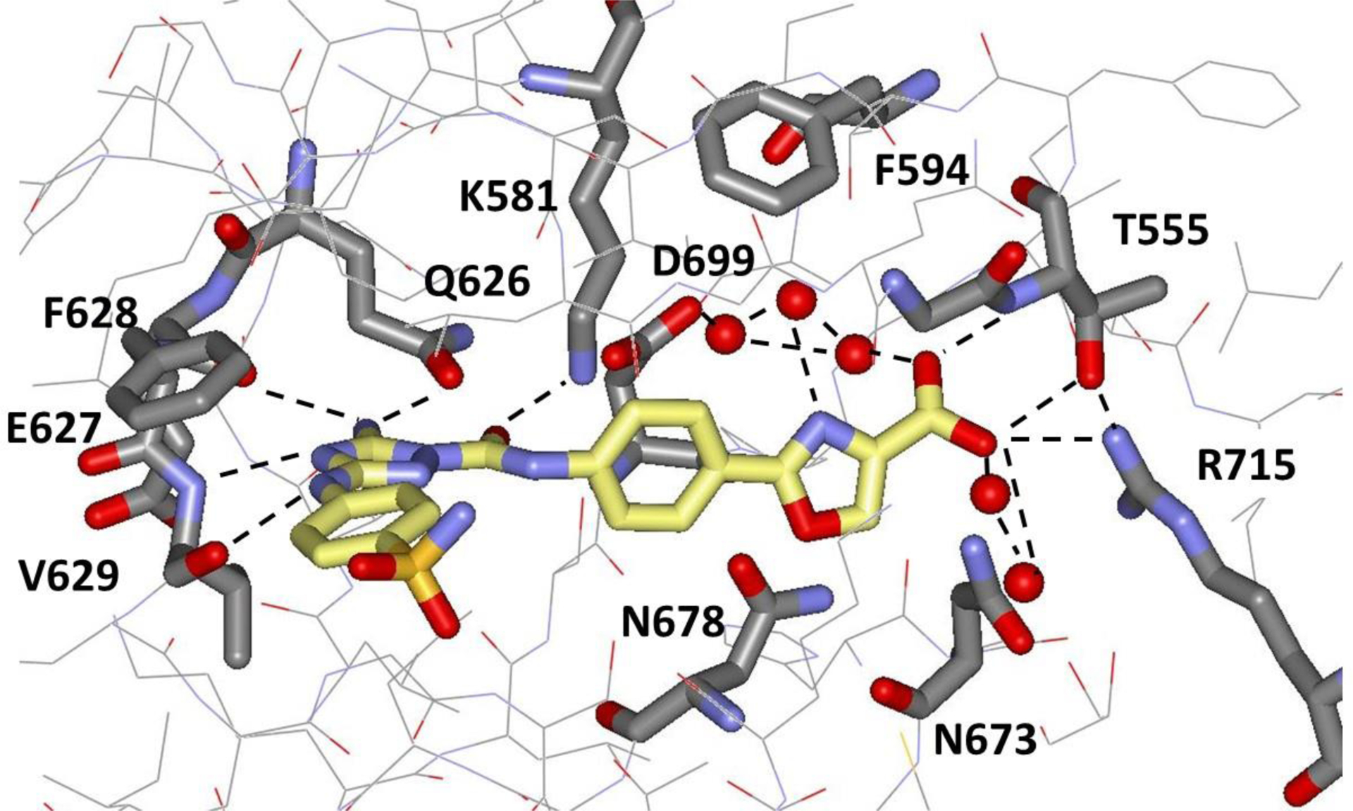 Selective Janus Kinase 2 (JAK2) Pseudokinase Ligands with a ...