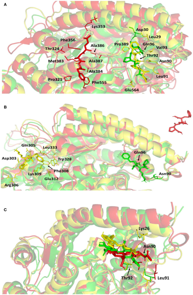 Figure 7