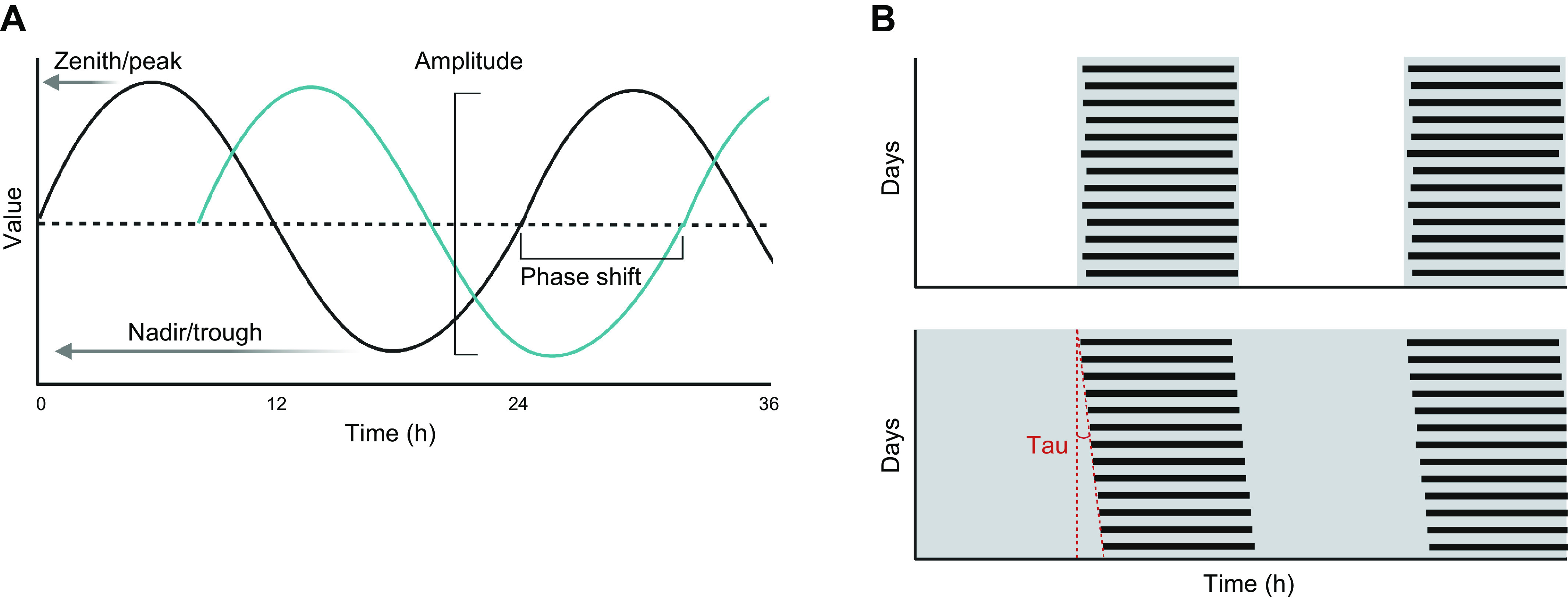 FIGURE 4.