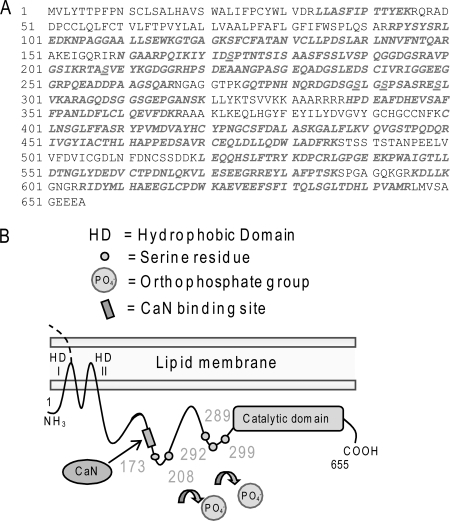 FIGURE 1.