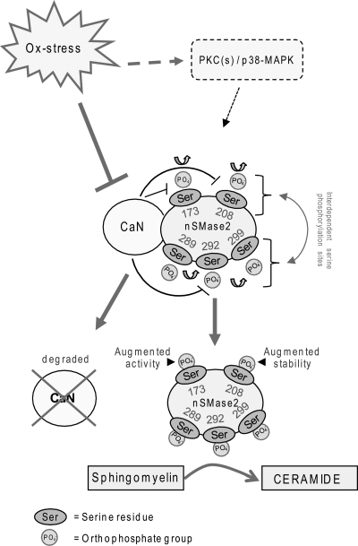 FIGURE 7.