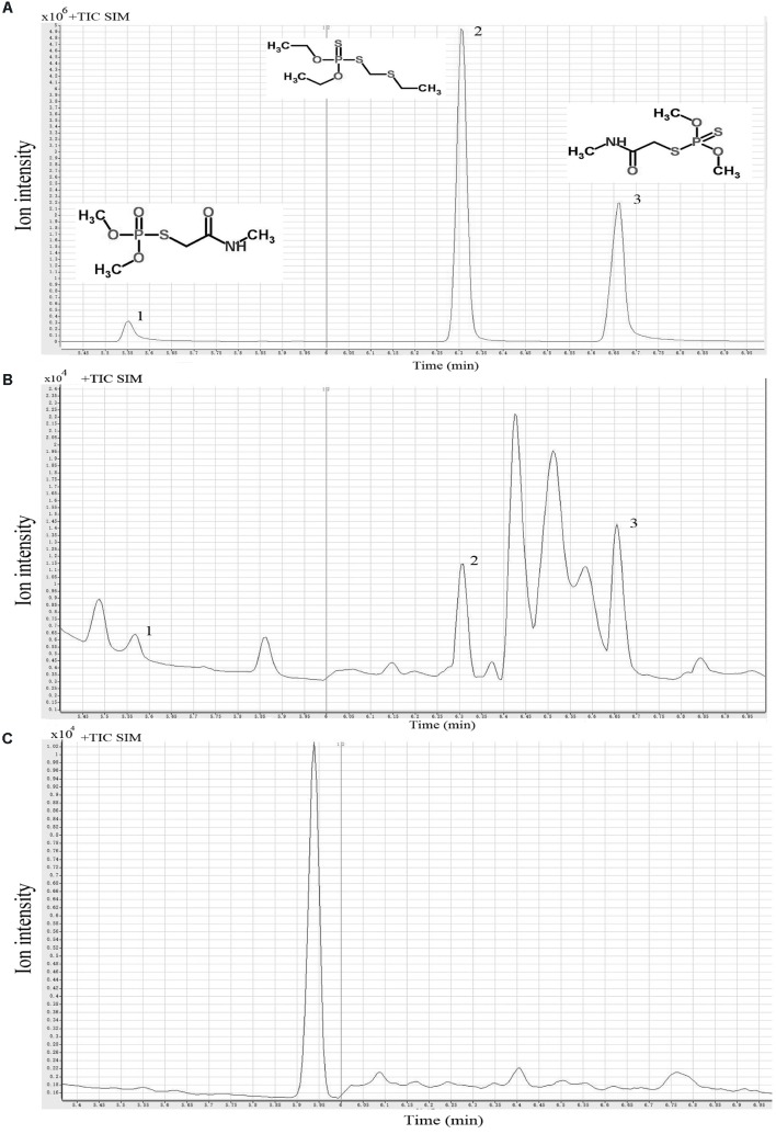 FIGURE 1