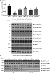 Figure 1.