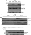 Figure 6.