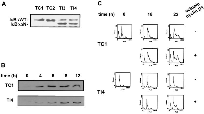 FIG. 7