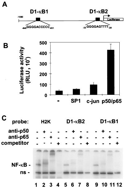 FIG. 1