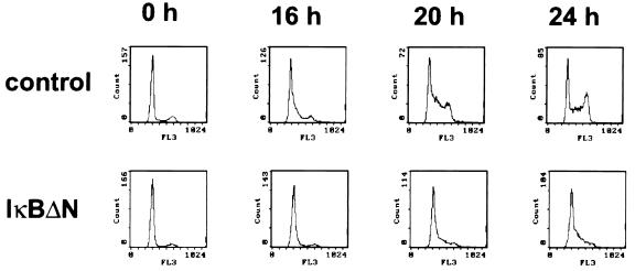 FIG. 6