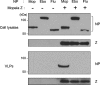 FIG. 2.