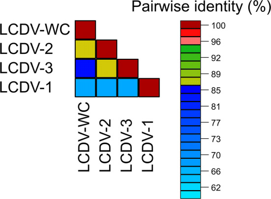 Fig. 2