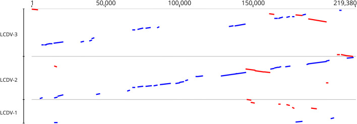 Fig. 1