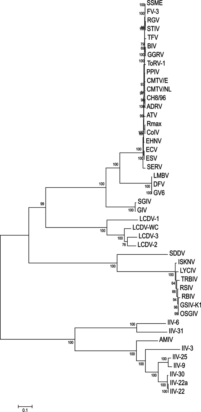 Fig. 3