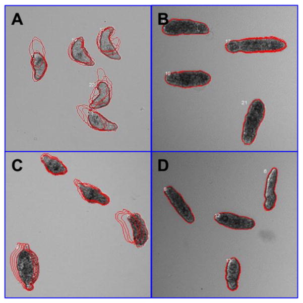 Figure 6