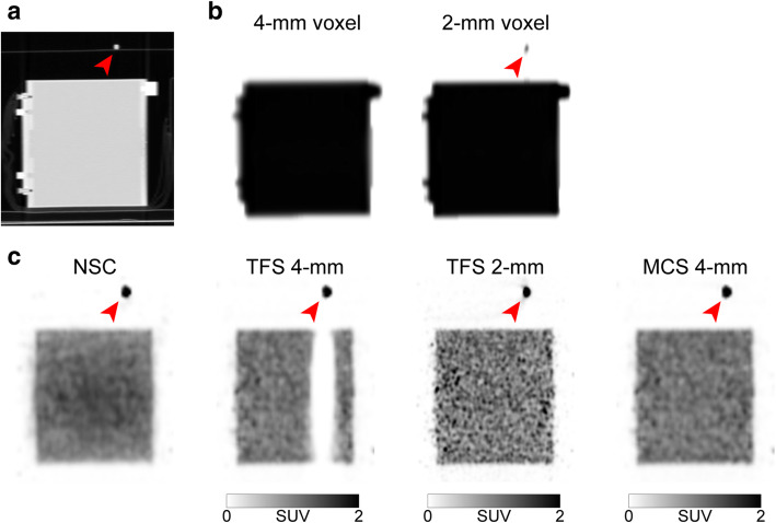 Fig. 9