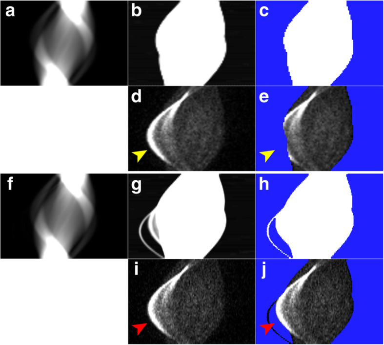 Fig. 5